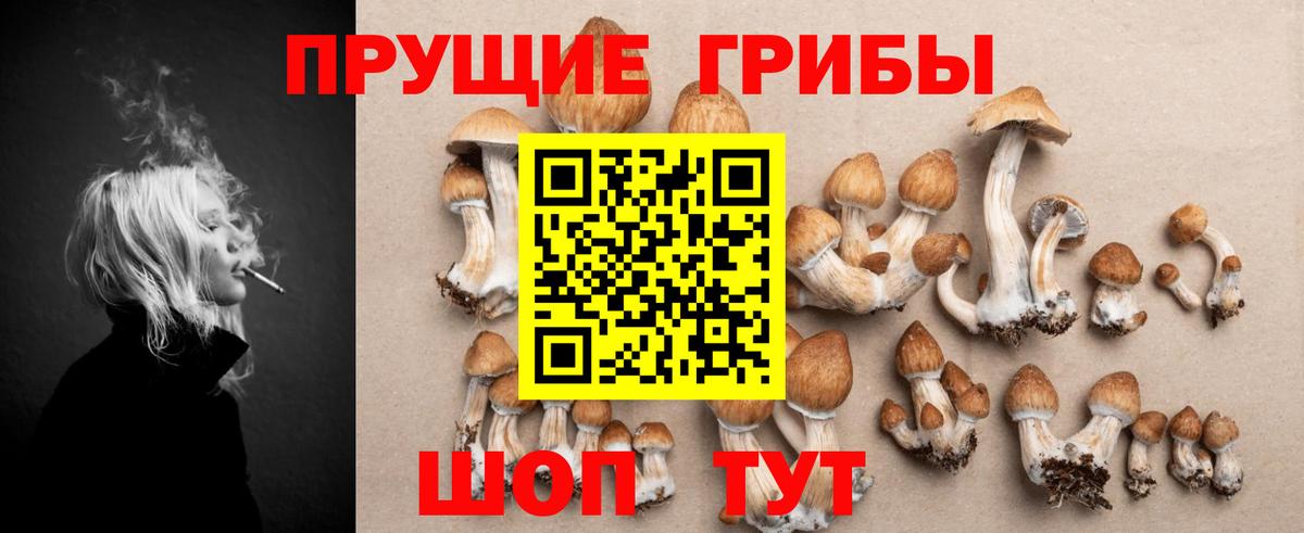 Псилоцибиновые грибы ЛСД  Вход с VPN  Балтийск 